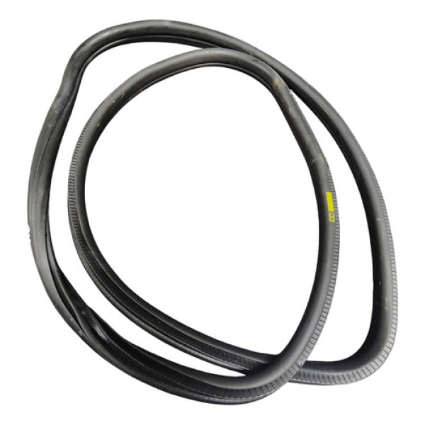 Borracha Porta Traseira Esquerda Bmw 320i 2.0 2013 2014 2015