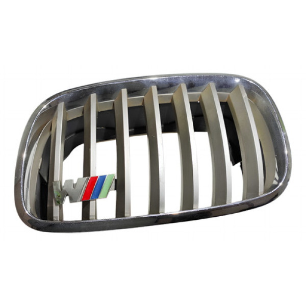Grade Dianteira Esquerda 7157687 Bmw X5 E70 2007 2008 A 2013 Bege Brilhante