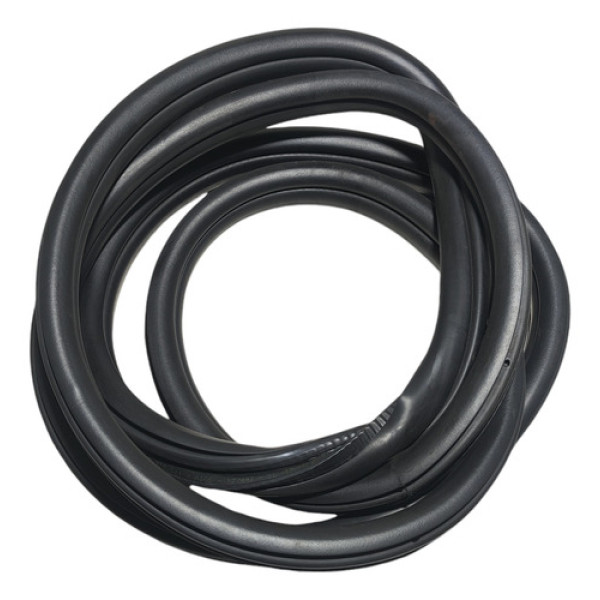 Borracha Porta Traseira Esquerda Bmw 320i 2014 2015 2016 Preto