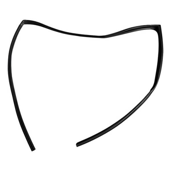 Borracha Vidro Canaleta Dianteira Direita Bmw X5 2008 A 2010 Preto