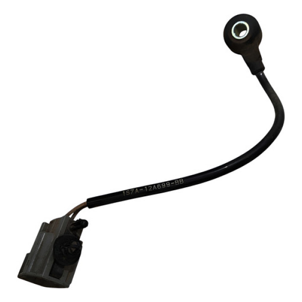 Sensor Detonação 1s7a12a699bb Ford Focus 2014 A 2022