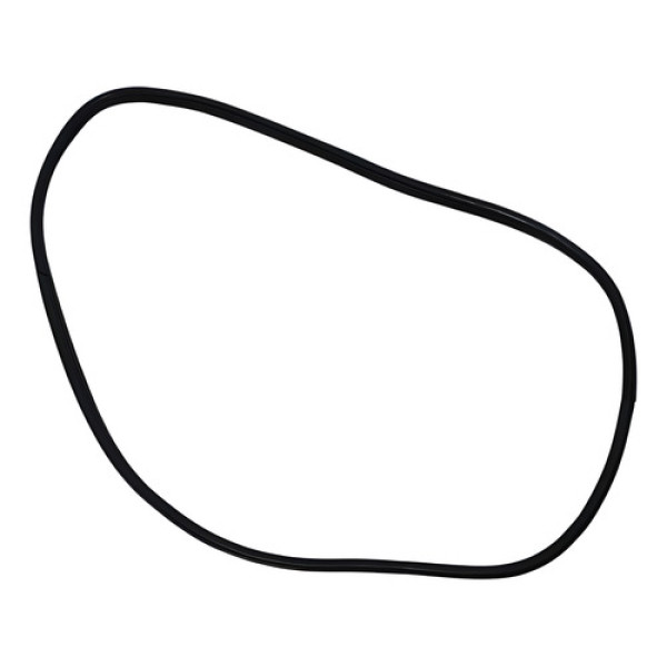 Borracha Vedação Dianteira Esquerda Bmw X1 2011 2012 2013 Preto