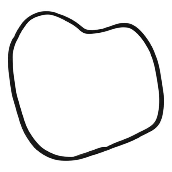 Borracha Vedação Porta Tras Direita Fiat Toro 2017 2018 2019