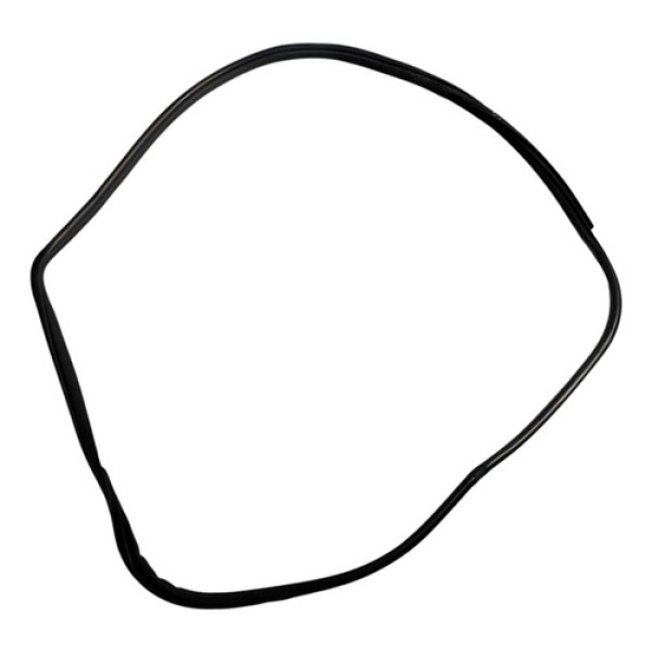 Borracha Porta Dianteira Direita Bmw X5 2008 2009 2010  Preto