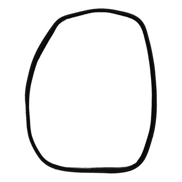 Borracha Porta Traseira Esquerda Renust Duster 4x4 2014 2015 Preta