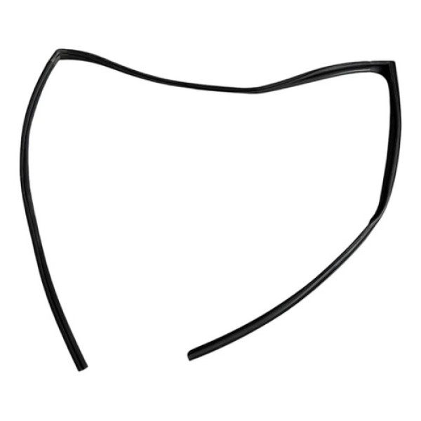 Borracha Vidro Canaleta Dianteira Direita Bmw X5 2008 A 2010 Preto