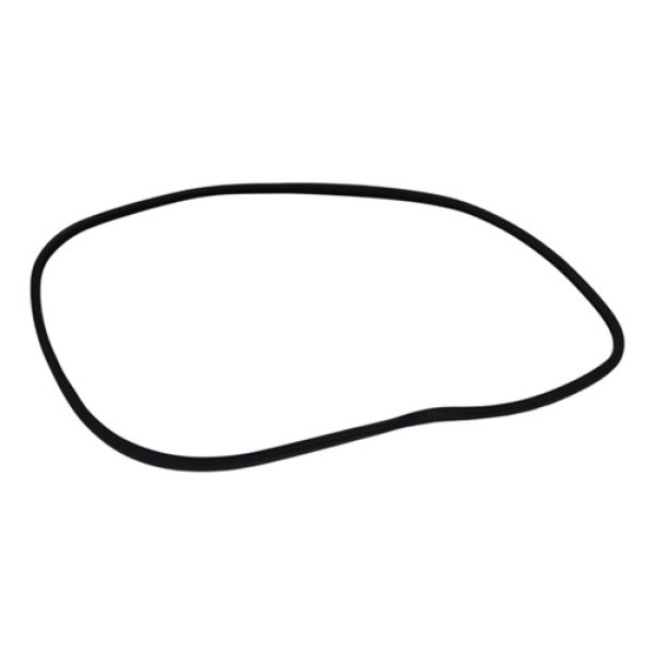 Borracha Porta Traseira Direita Bmw 328i Gt 2014 2015 2016