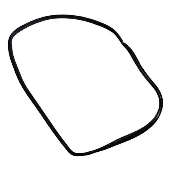 Borracha Porta Traseira Esquerda Bmw X5 2008 2009 2010  Preto