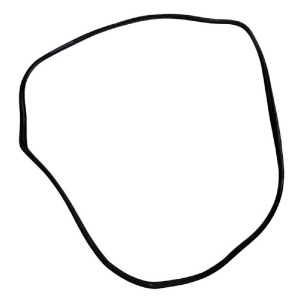 Borracha Porta Traseira Direita Bmw X5 2008 2009 2010  Preto