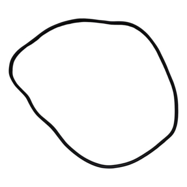 Borracha Vedação Traseira Esquerda Honda City 1.5 2023 2024 Preto