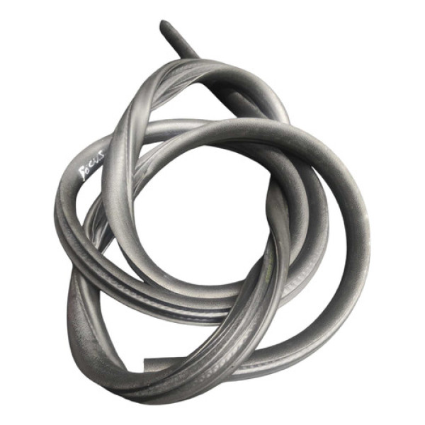 Borracha Porta Traseira Direita Ford Focus Sedan 2008 A 2010