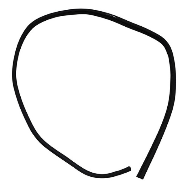 Borracha Vedação Porta Tras Direita Ford Focus 2009 A 2013 Preto