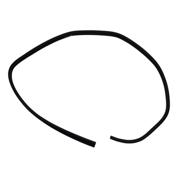 Borracha Vedação Porta Tras Esquerda Ford Focus 2009 A 2013 Preto