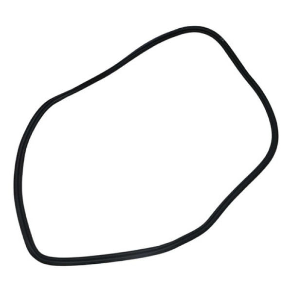 Borracha Porta Dianteiro Direito Byd Song Plus 2024 2025