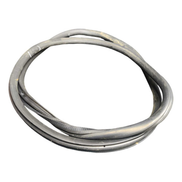 Borracha Porta Dianteira Esquerda Peugeot 208 2022 C/detalhe