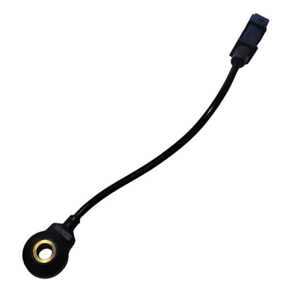 Sensor Detonação Chery Tiggo 2 1.5 2018 2019 2020 0261231213