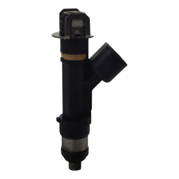 Bico Injetor Ford Focus 2.0 2009 2010 2011 2012 2013  220v