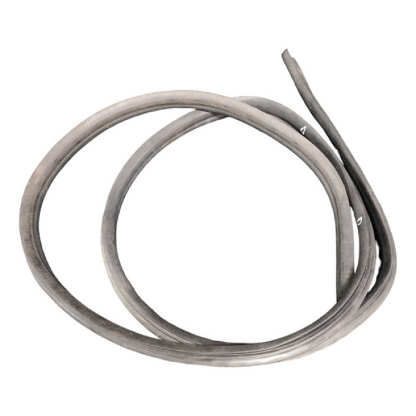 Borracha Porta Dianteira Dir Ford Focus 2010 2011 2012 1