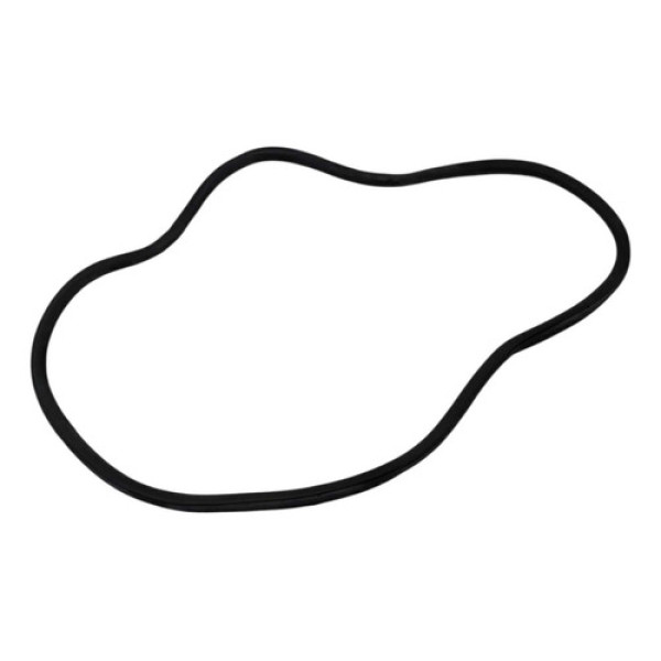 Borracha Vedação Porta Traseira Esq Peugeot 208 2020/2022 Preto