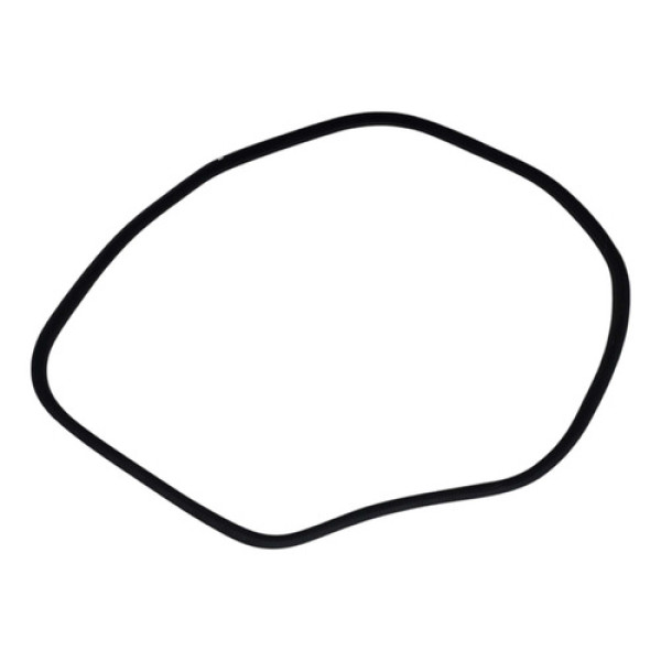 Borracha Porta Traseira Esquerda Bmw 328i Gt 2013 2014 2015