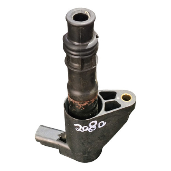 Bobina Ignição Citroen C5 Peugeot 406 407 607 3.0 19005337