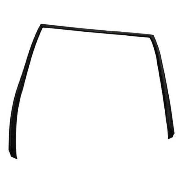 Borracha Canaleta Porta Traseira Esquerda Bmw X5 2008 A 2010 Preto