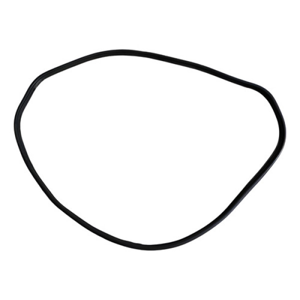 Borracha Porta Mala Bmw X5 2008 2009 2010