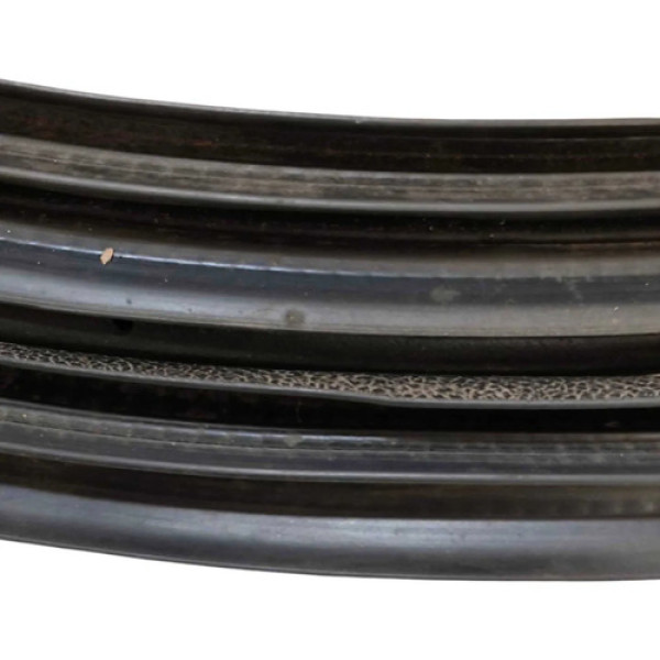 Borracha Vedação Porta Traseira Esq Ford Focus 2011 A 2013 Preto