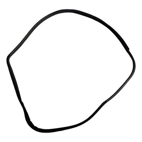 Borracha Porta Dianteira Direita Bmw X5 2008 2009 2010  Preto