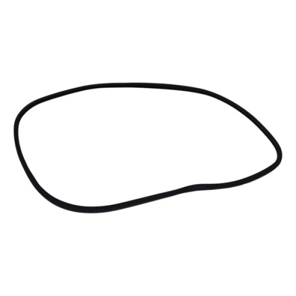 Borracha Porta Traseira Direita Bmw 328i Gt 2014 2015 2016