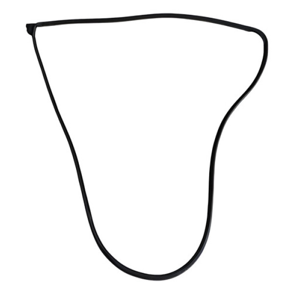 Borracha Porta Dianteira Esquerda Bmw X5 2008 2009 2010  Preto