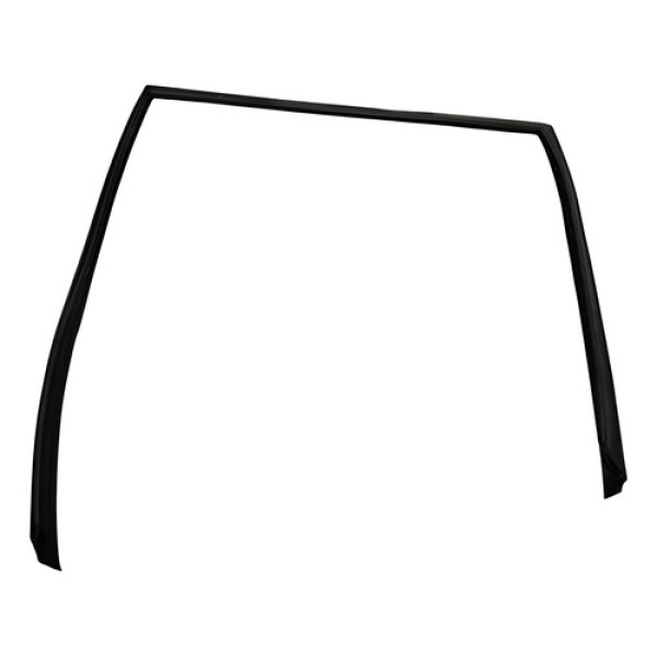 Borracha Canaleta Porta Traseira Esquerda Bmw X5 2008 A 2010 Preto