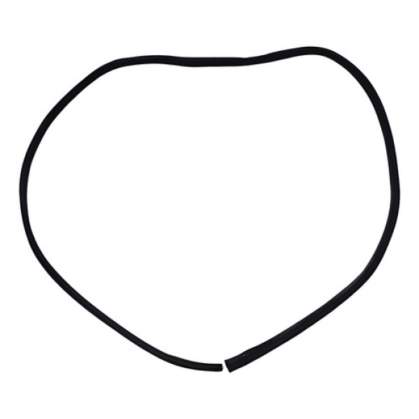 Borracha Vedação Traseiro Direito Gm S10 Ltz 2018 A 2020 Preto