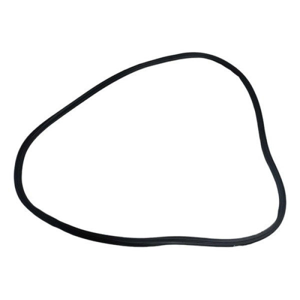 Borracha Tampa Mala Byd Song Plus 2024 2025