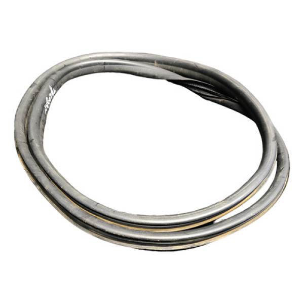 Borracha Porta Traseira Direita Renault Logan 2021 2022 - 1