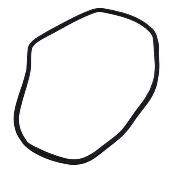 Borracha Vedação Porta Tras Esquerda Vw Polo Msi 2018 A 2021 Preto