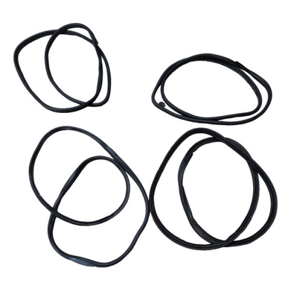 Jogo De Borracha Porta Hyundai Hb20 2014 2015 2016 Original