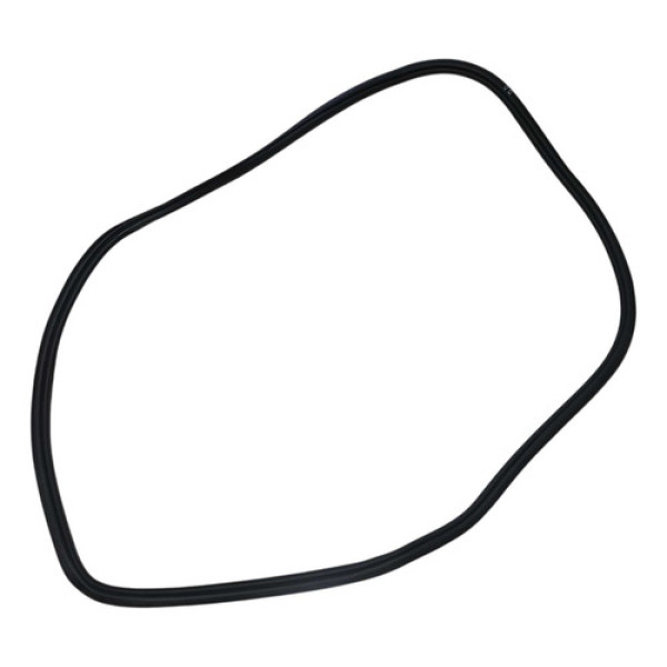 Borracha Porta Dianteiro Direito Byd Song Plus 2024 2025